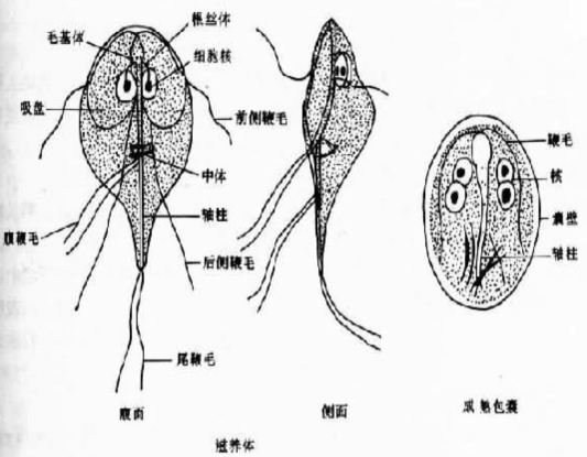 bd6e45b39ad2c3c5eb747a66163ac219e0d562c9.png